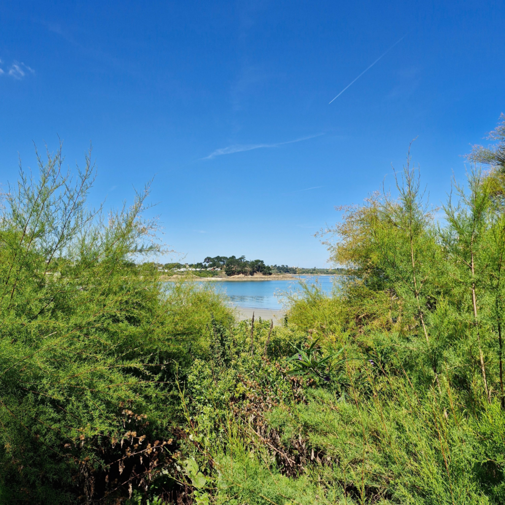 Plage Sainte-Anne à Saint-Pol-de-Léon vue surle camping Ar Kléguer, Finistère Nord