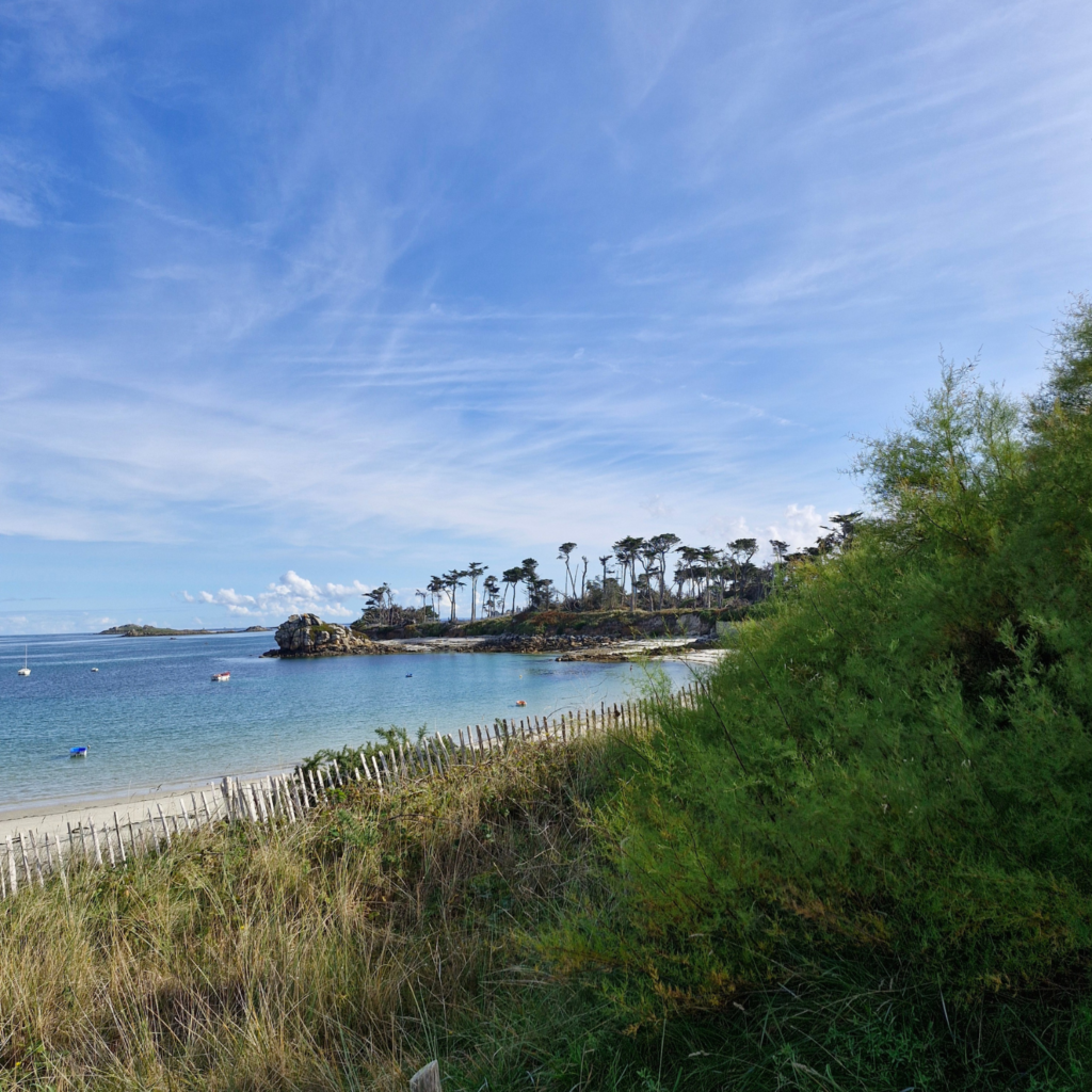 Plage des Jacobins, point de vue Ile de Batz, Finistère Nord, Roscoff