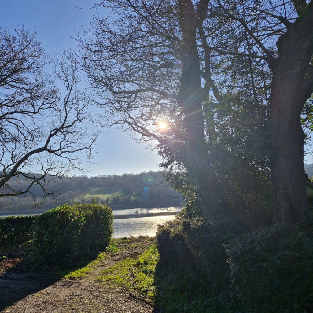 La Forest-Landerneau Chemin rive de l'Elorn