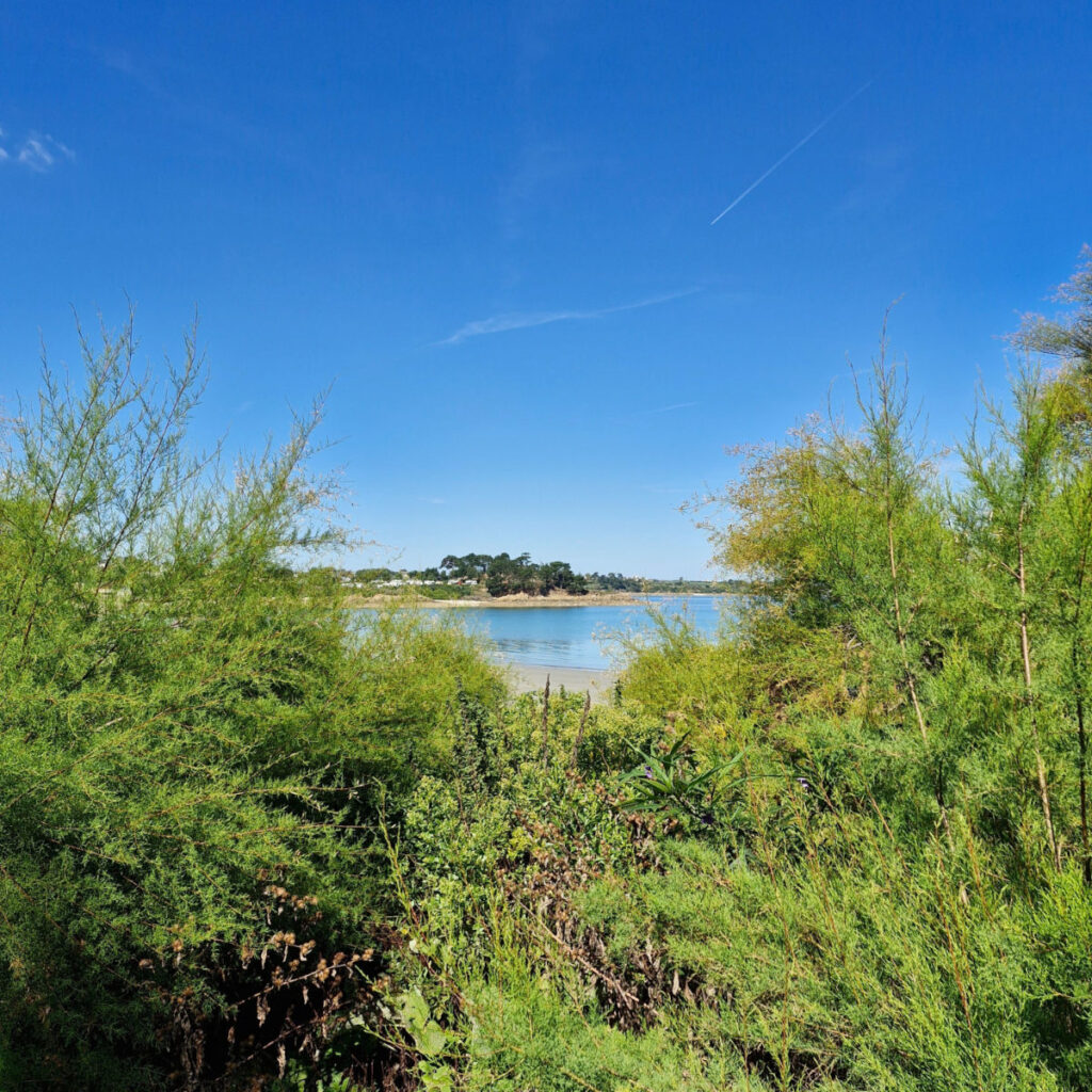 Plage Sainte-Anne depuis l'Îlot Saint-Pol-de-Léon