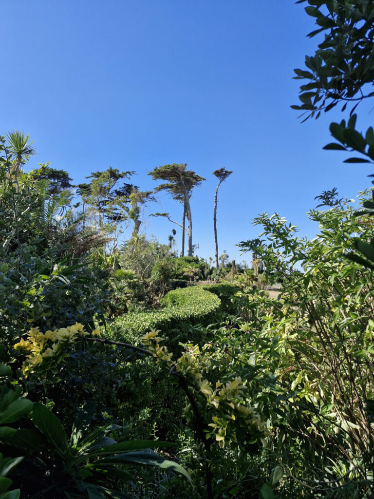 Ile de Batz, Jardin Georges Delaselle