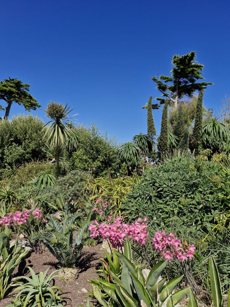 Ile de Batz, Jardin Georges Delaselle